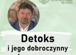 Detoks a mózg – co dzieje się z neuronami?